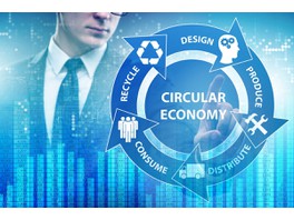 Компания Schneider Electric получила высшую награду в области многооборотной экономики The Circulars 2019