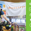 Проект fEatme: "Фокстрот" — всей командой к победе в соревновании Проект fEatme: "Фокстрот" — всей командой к победе в соревновании