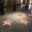 Голливуд предлагает убрать звезду Трампа с Аллеи Славы Голливуд предлагает убрать звезду Трампа с Аллеи Славы