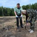 Гослесагентство высаживает лес больше, чем вырубает — официально Гослесагентство высаживает лес больше, чем вырубает — официально