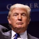 Трампа очень радует обвал цен на нефть Трампа очень радует обвал цен на нефть